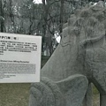 曲江池 (2).jpg