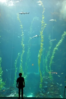 DSC_0602.jpg DSC_0602.jpg