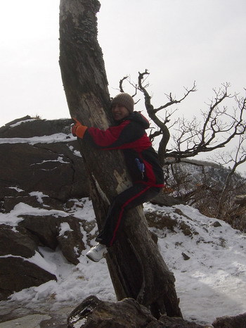 阿德侄子演無尾熊