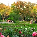 復興公園