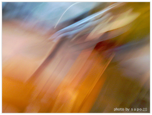 手機相機因為不熟,