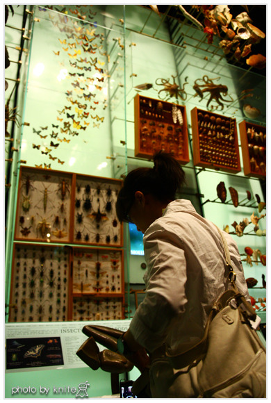 自然歷史科學博物館