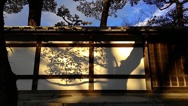 如畫,樹影與牆垣(大祖谷寺).jpg