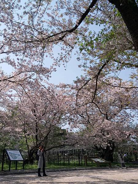 牡丹芍藥園.jpg