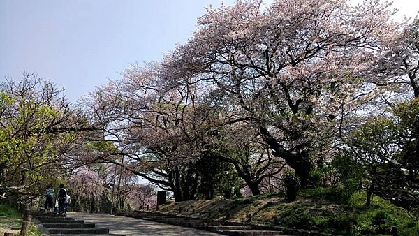 福岡城跡.jpg