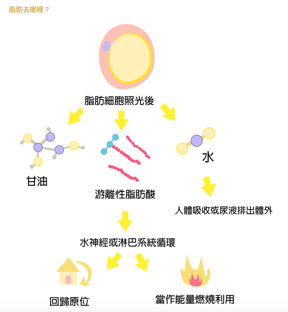 螢幕快照 2017-02-28 上午12.56.36.png