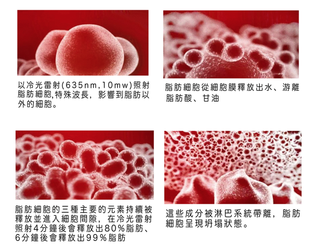 螢幕快照 2017-02-28 上午12.56.13.png