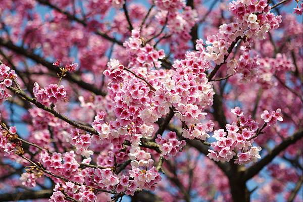 378190210_60d8666205_b.jpg 378190210_60d8666205_b.jpg