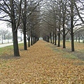 ChicagoStreetView-1(Michigan Lake Park, 2008 winter)