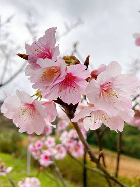 6371A75E-17BD-4A27-8398-01C3E7D13152.jpeg 6371A75E-17BD-4A27-8398-01C3E7D13152.jpeg