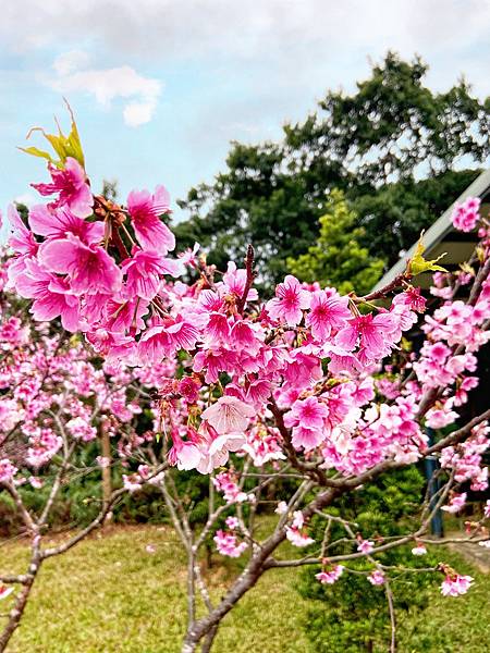 762BD1A9-7E4A-41B3-9F43-05F94AD3969D.jpeg 762BD1A9-7E4A-41B3-9F43-05F94AD3969D.jpeg