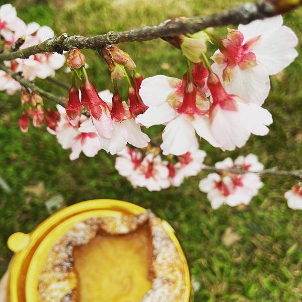 814FF97C-C21E-4BC6-AA88-EFB57B7A101F.jpeg 814FF97C-C21E-4BC6-AA88-EFB57B7A101F.jpeg