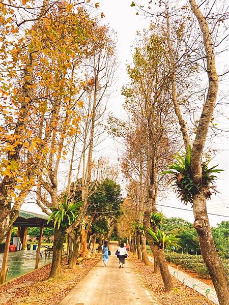 6635074C-AF81-4277-B2AE-7EBEEECE9DFD.jpeg 6635074C-AF81-4277-B2AE-7EBEEECE9DFD.jpeg