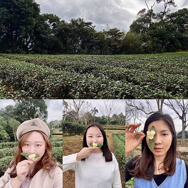 AE577DB5-A23D-4DCE-BBAF-78BE9F000675.jpeg AE577DB5-A23D-4DCE-BBAF-78BE9F000675.jpeg