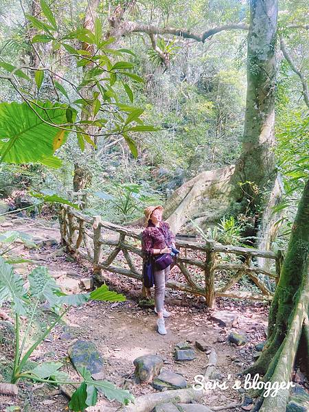 200DF251-1FEA-4067-9A68-906AB61C8D5A.jpeg 200DF251-1FEA-4067-9A68-906AB61C8D5A.jpeg