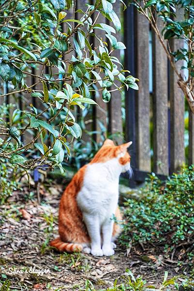 347C3F2F-DCA5-4E28-A583-FB52B4594A13.jpeg 347C3F2F-DCA5-4E28-A583-FB52B4594A13.jpeg