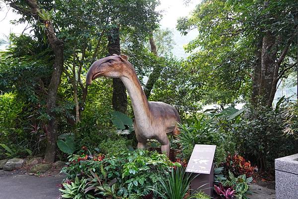 FE452135-FB32-4FF3-91A6-45DDE7882E01.jpeg FE452135-FB32-4FF3-91A6-45DDE7882E01.jpeg