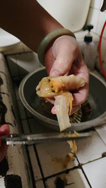 「魚有王X姐夫嚴選|闔家團圓的美味時刻:健康又美味的鮪魚肉圓 「魚有王X姐夫嚴選|闔家團圓的美味時刻:健康又美味的鮪魚肉圓