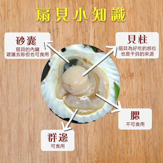 「魚有王X姐夫嚴選|闔家團圓的美味時刻:健康又美味的鮪魚肉圓 「魚有王X姐夫嚴選|闔家團圓的美味時刻:健康又美味的鮪魚肉圓