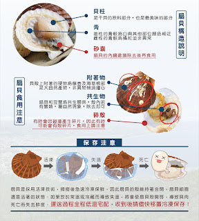 「魚有王X姐夫嚴選|闔家團圓的美味時刻:健康又美味的鮪魚肉圓 「魚有王X姐夫嚴選|闔家團圓的美味時刻:健康又美味的鮪魚肉圓
