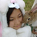 saras is rabit