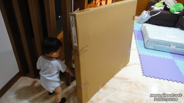 DSC04395 DSC04395