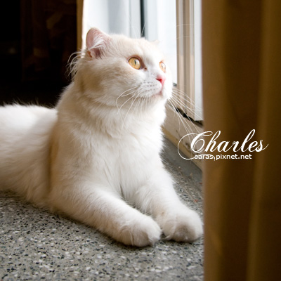 charles04.jpg charles04.jpg