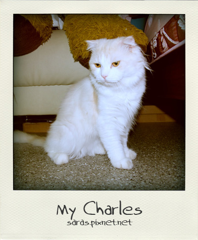 charles05.jpg charles05.jpg