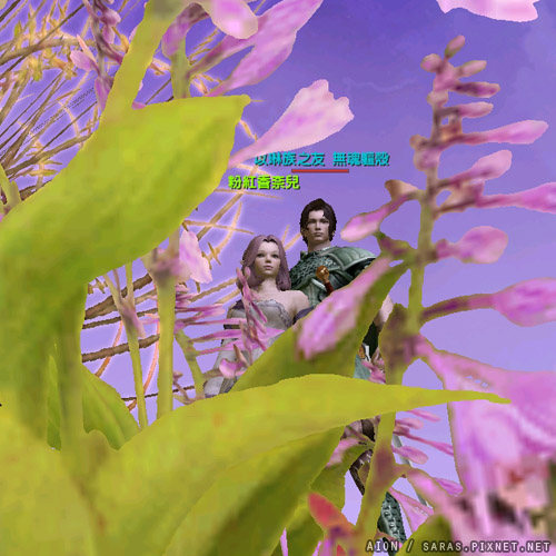 aion_008.jpg aion_008.jpg