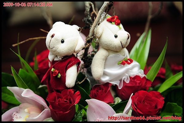 JAS_1694.JPG JAS_1694.JPG