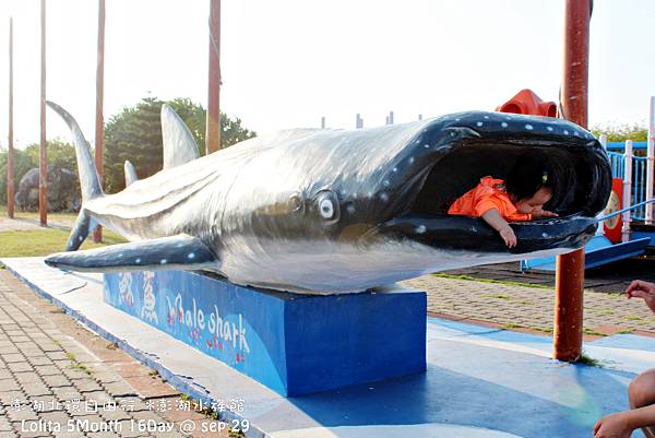 北環自由行 澎湖水族館 (2)