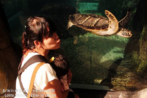 2012 9 30 澎湖水族館 (8)