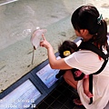 2012 9 30 澎湖水族館 (14)