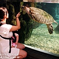 2012 9 30 澎湖水族館 (28)