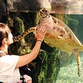 2012 9 30 澎湖水族館 (29)