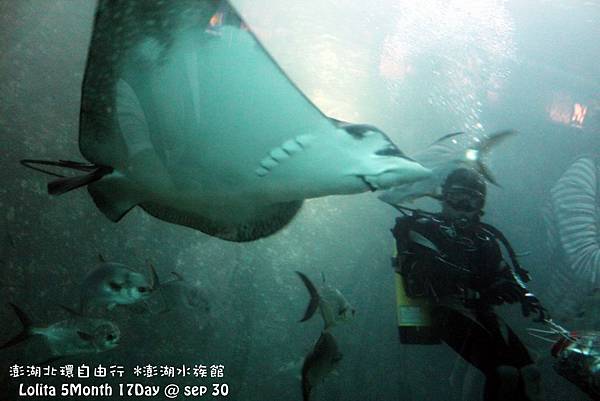 2012 9 30 澎湖水族館 (54)