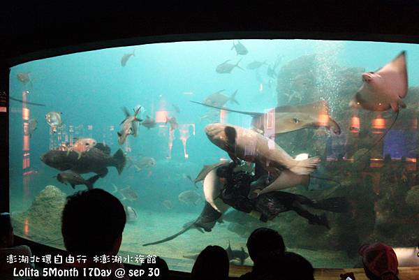 2012 9 30 澎湖水族館 (61)