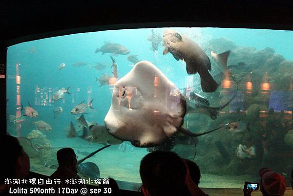 2012 9 30 澎湖水族館 (62)