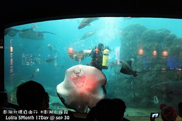 2012 9 30 澎湖水族館 (64)