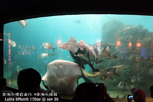 2012 9 30 澎湖水族館 (65)