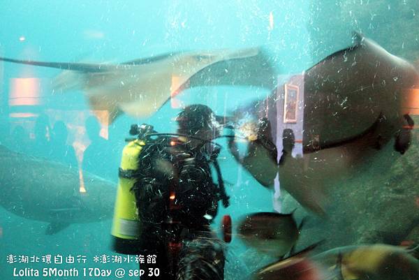 2012 9 30 澎湖水族館 (67)