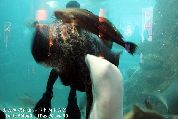 2012 9 30 澎湖水族館 (73)