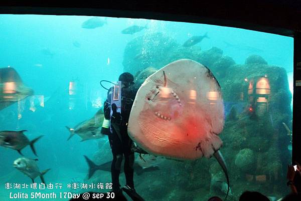 2012 9 30 澎湖水族館 (77)