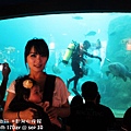 2012 9 30 澎湖水族館 (82)