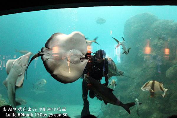 2012 9 30 澎湖水族館 (89)