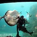 2012 9 30 澎湖水族館 (89)