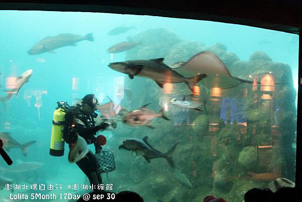 2012 9 30 澎湖水族館 (91)