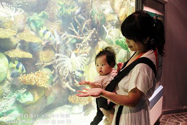 2012 9 30 澎湖水族館 (99)