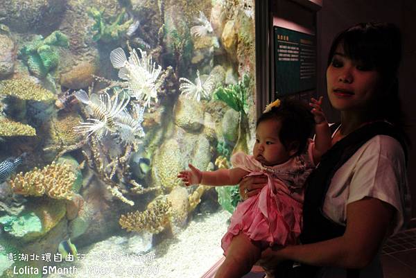 2012 9 30 澎湖水族館 (102)