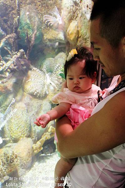 2012 9 30 澎湖水族館 (103)